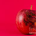 Apple Love from Tattoo Series